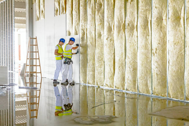 Best Insulation Installation Cost  in Fair Haven, NY